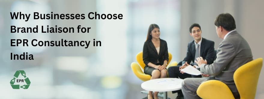 Why Businesses Choose Brand Liaison for EPR Consultancy