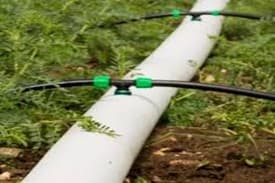 BIS Certificate for HDPE Laminated Tube for Drip Irrigation