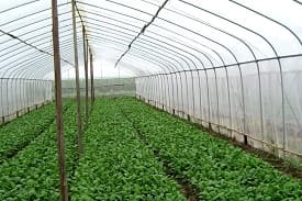 BIS Certification for Insect nets for Agriculture