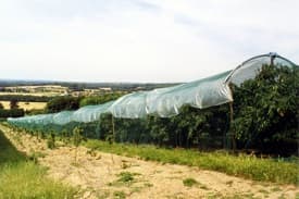 BIS Certificate for Jute Agro Textiles