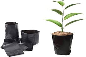 BIS Certificate for Sapling Bags