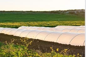 BIS Certificate for Propylene Mulch Mat