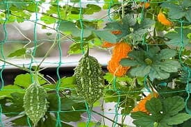 BIS Certificate for Plant Support Nets