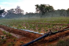 BIS Certificate for HDPE Tube for Rain Irrigation