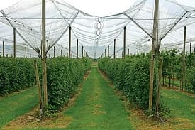 BIS Certificate for Hail Protection Nets