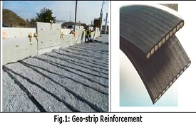 Polymeric strip or geostrip used as soil reinforcement in retaining structures