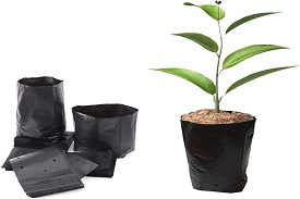 Sapling bags for growth of seedling /sapling