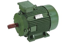 Energy Efficient Induction Motors-Three Phase Squirrel Cage