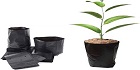 Get BIS Certification for Sapling bags for the growth of seedlings/saplings IS 16089: 2013 By Brand Liaison