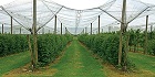 BIS Certification for Hail Protection Nets for Agriculture and Horticulture Purposes- Warp Knitted Hail Protection Nets IS 17730 (Part 1) : 2021 - By Brand Liaison