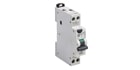 Electrical Accessories - Circuit breakers for overcurrent protection for household and similar installations