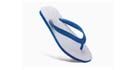BIS Certificate for Rubber Hawai Chappal IS 10702 - By Brand Liaison